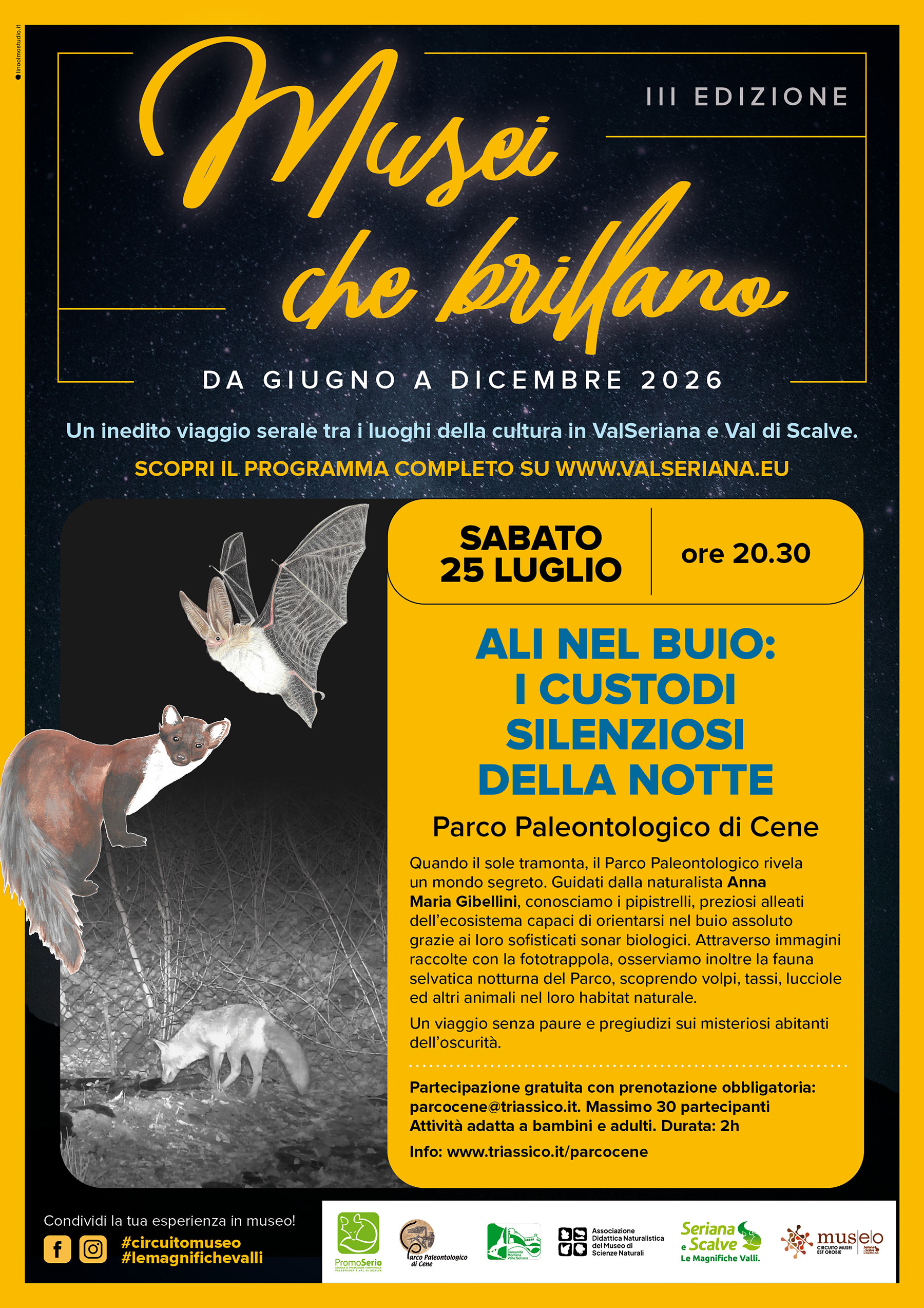 Locandina Ali nel buio