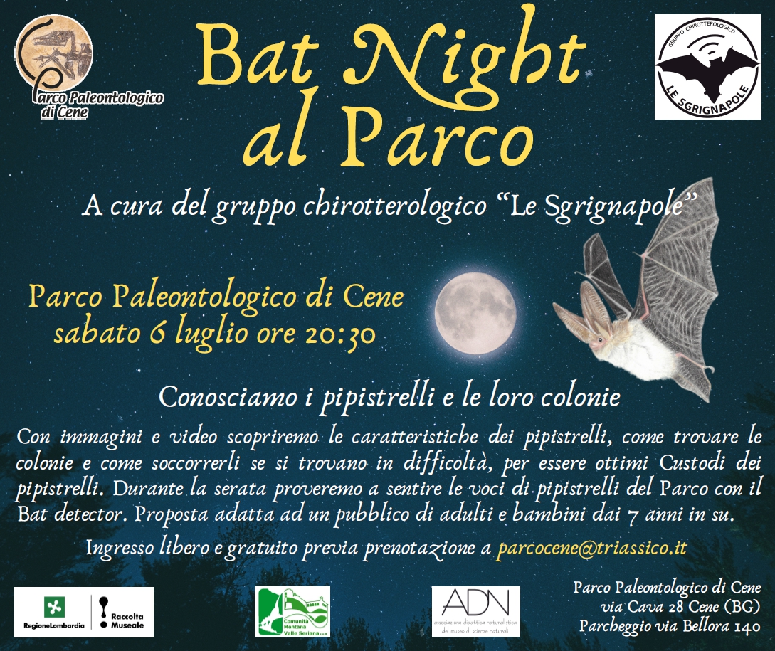 Bat night al Parco Paleontologico di Cene